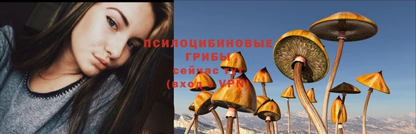 герыч Абаза